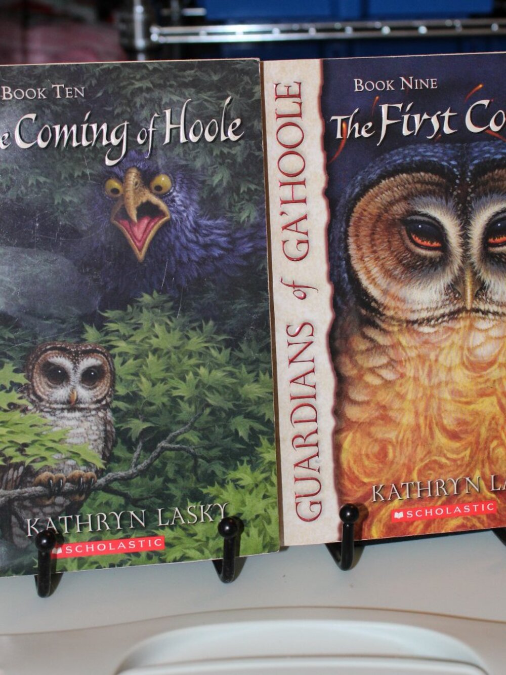 Guardians of Ga'Hoole, Books 1-12 by Kathryn Lasky - Picture 3 of 7